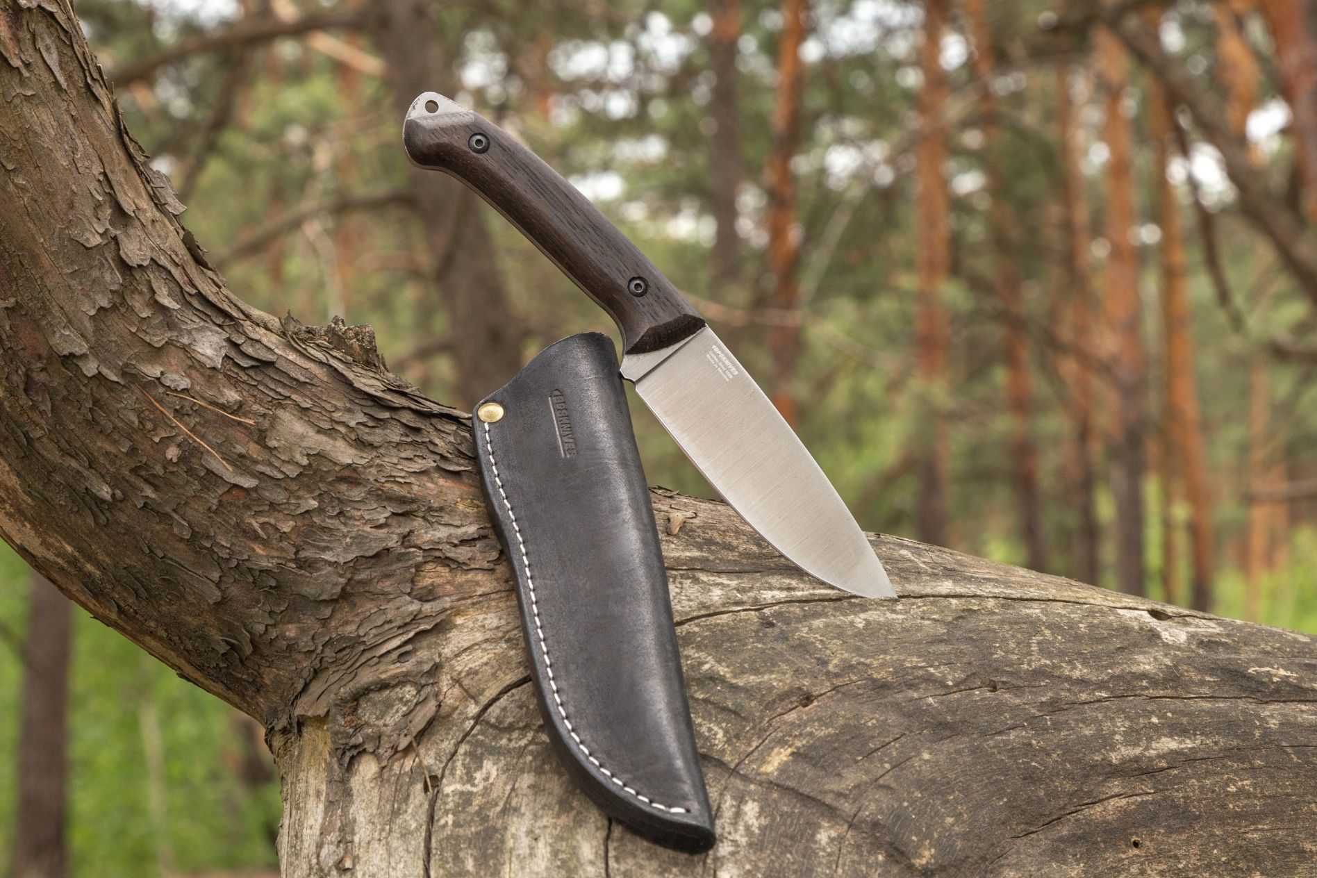 IMG - 2025-08-19T125715.358 SAVAGE CSH