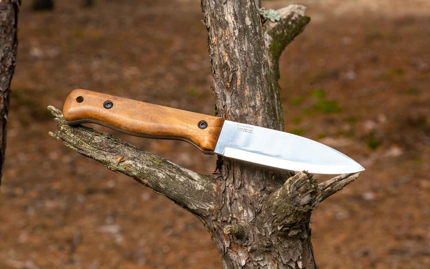 B1 CSH from BPS Knives