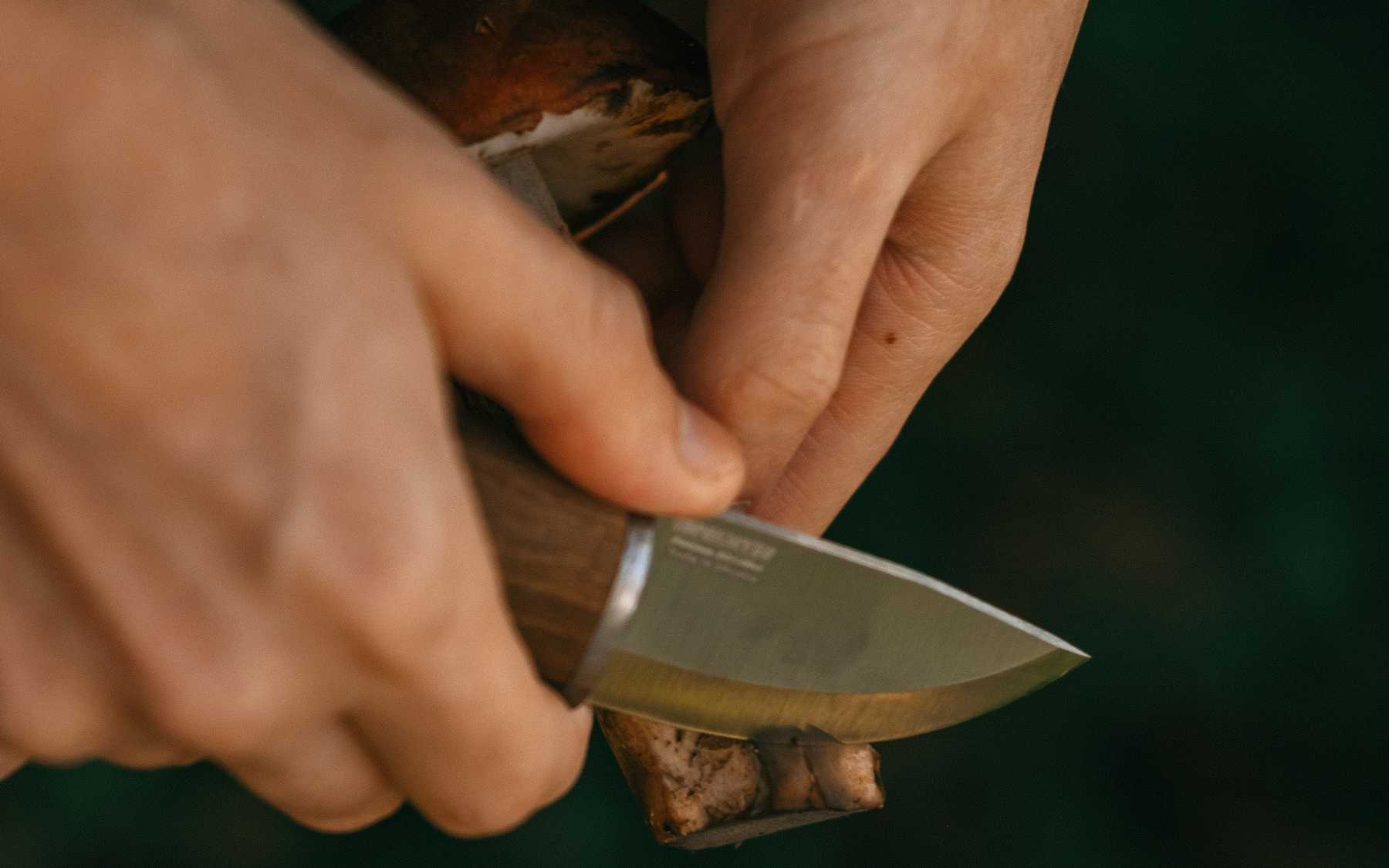 Cutting Mushrooms