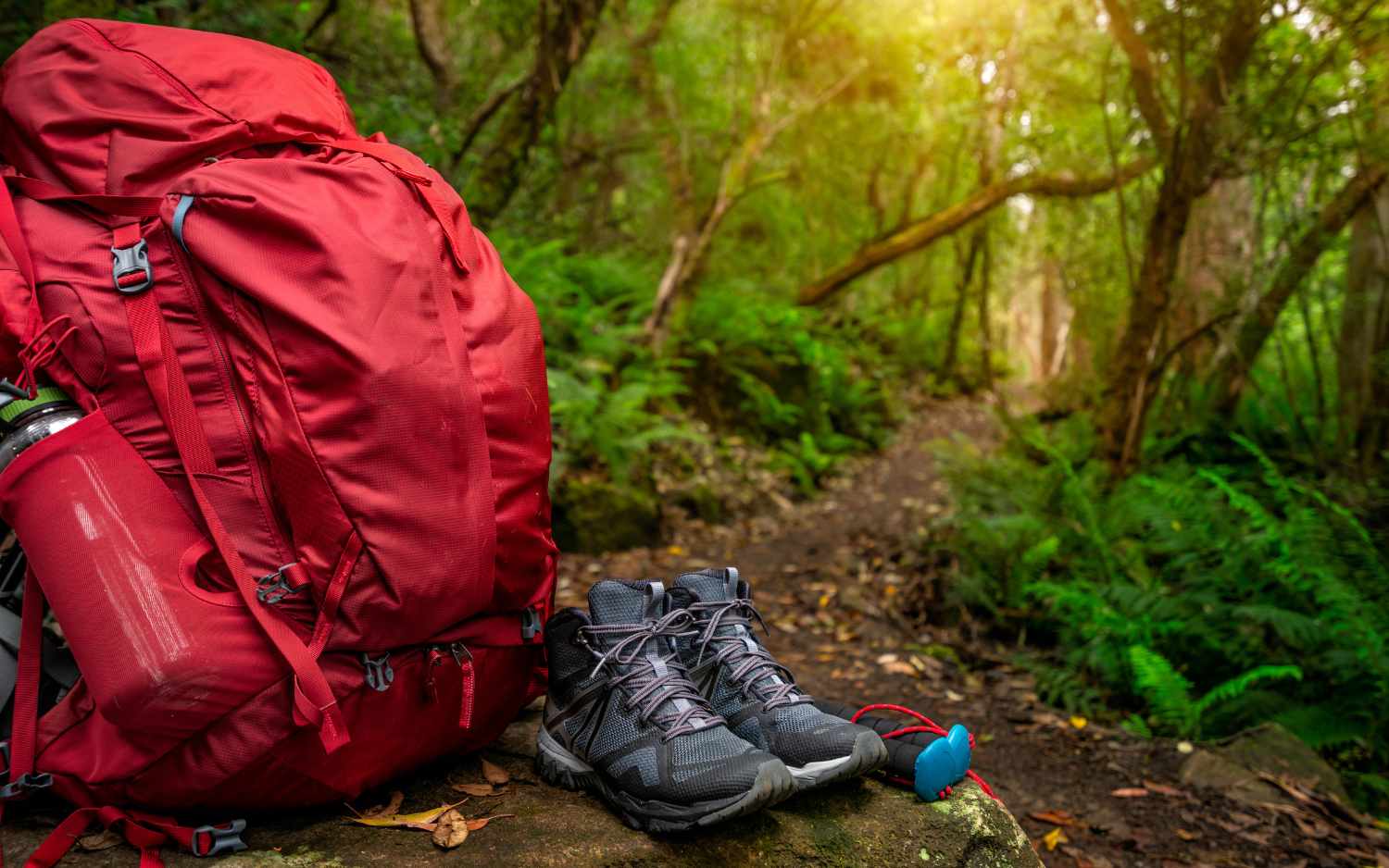 Essential Survival Gear for Tropical and Subtropical Regions 