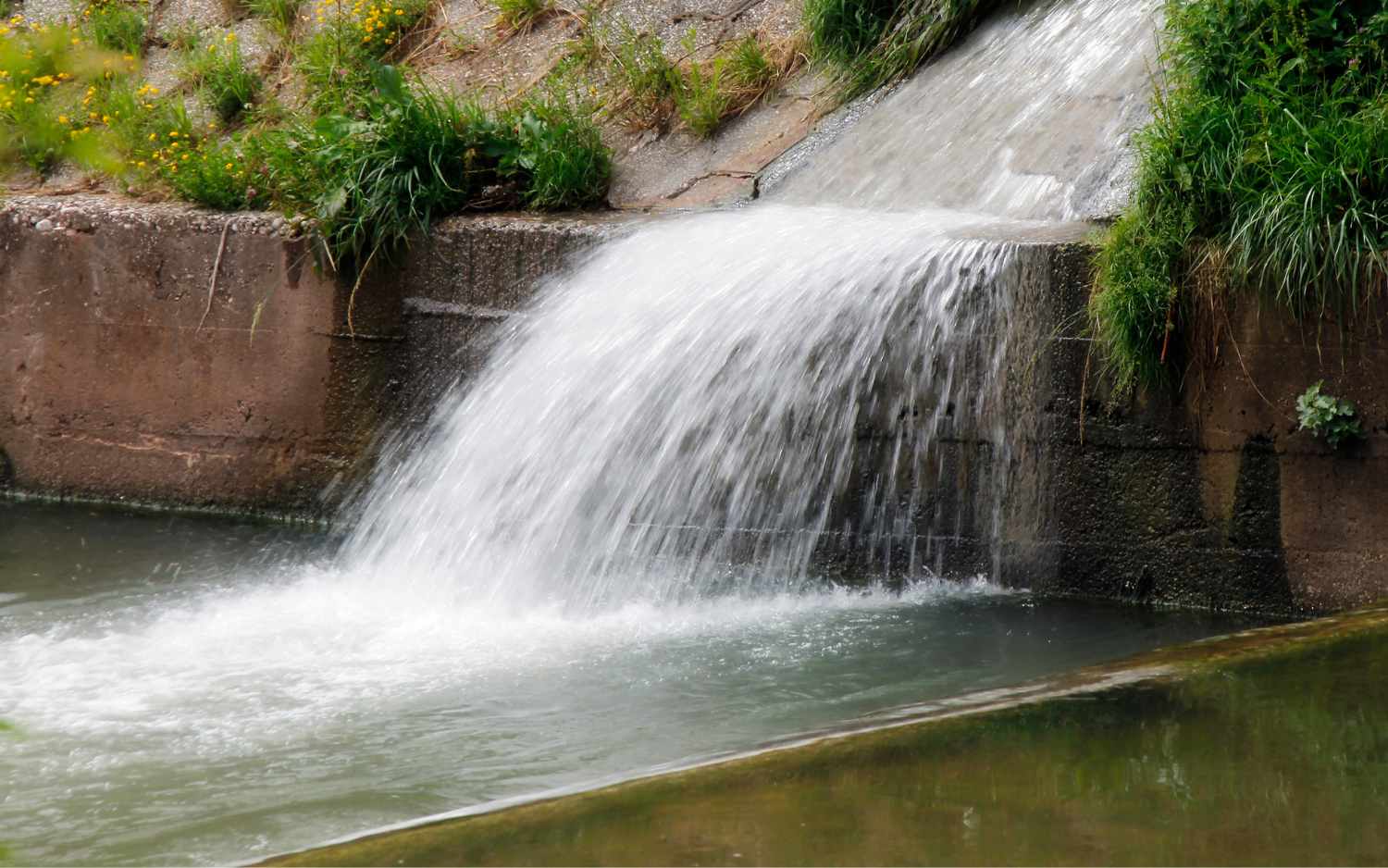 Finding and Purifying Water 
