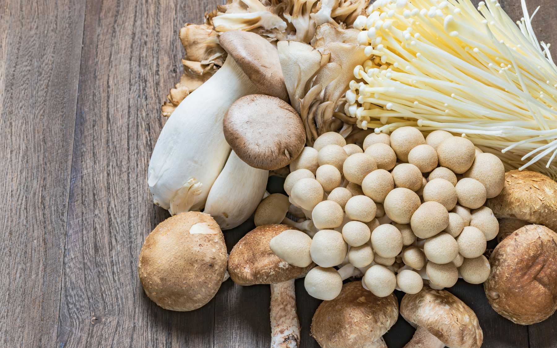Mushroom types