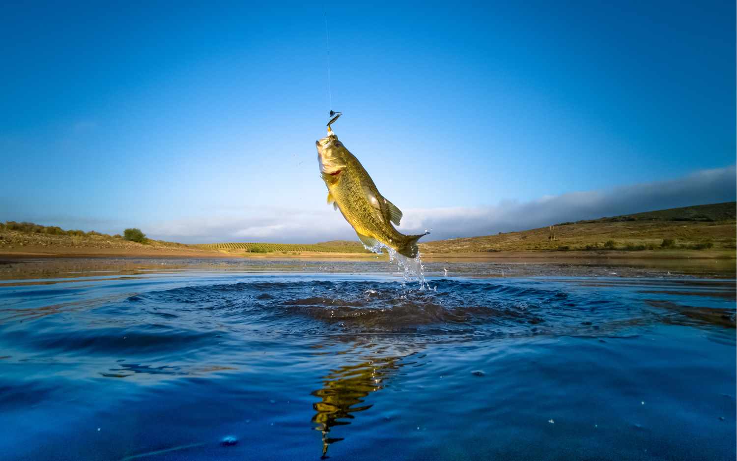 Hunting and Fishing 