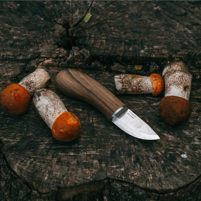 Should Mushrooms be Cut or Twisted? Exploring the Debate