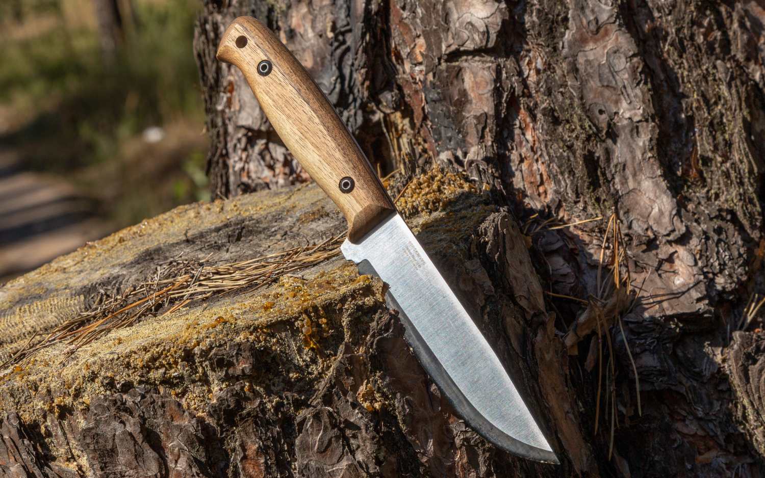 1066 Carbon Steel blade