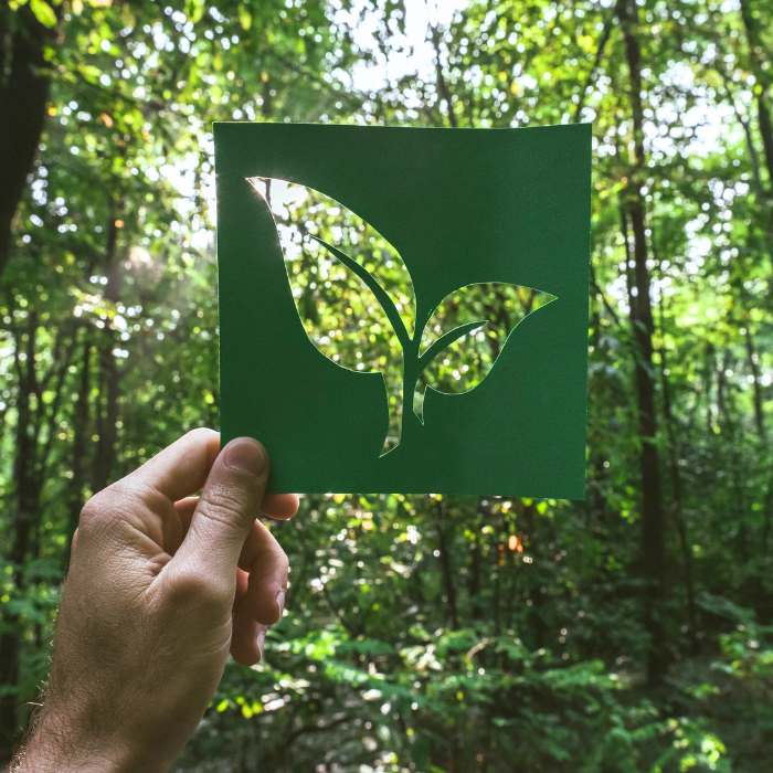 Eco-Friendly Recreation: How to Leave Minimal Impact in Nature? 