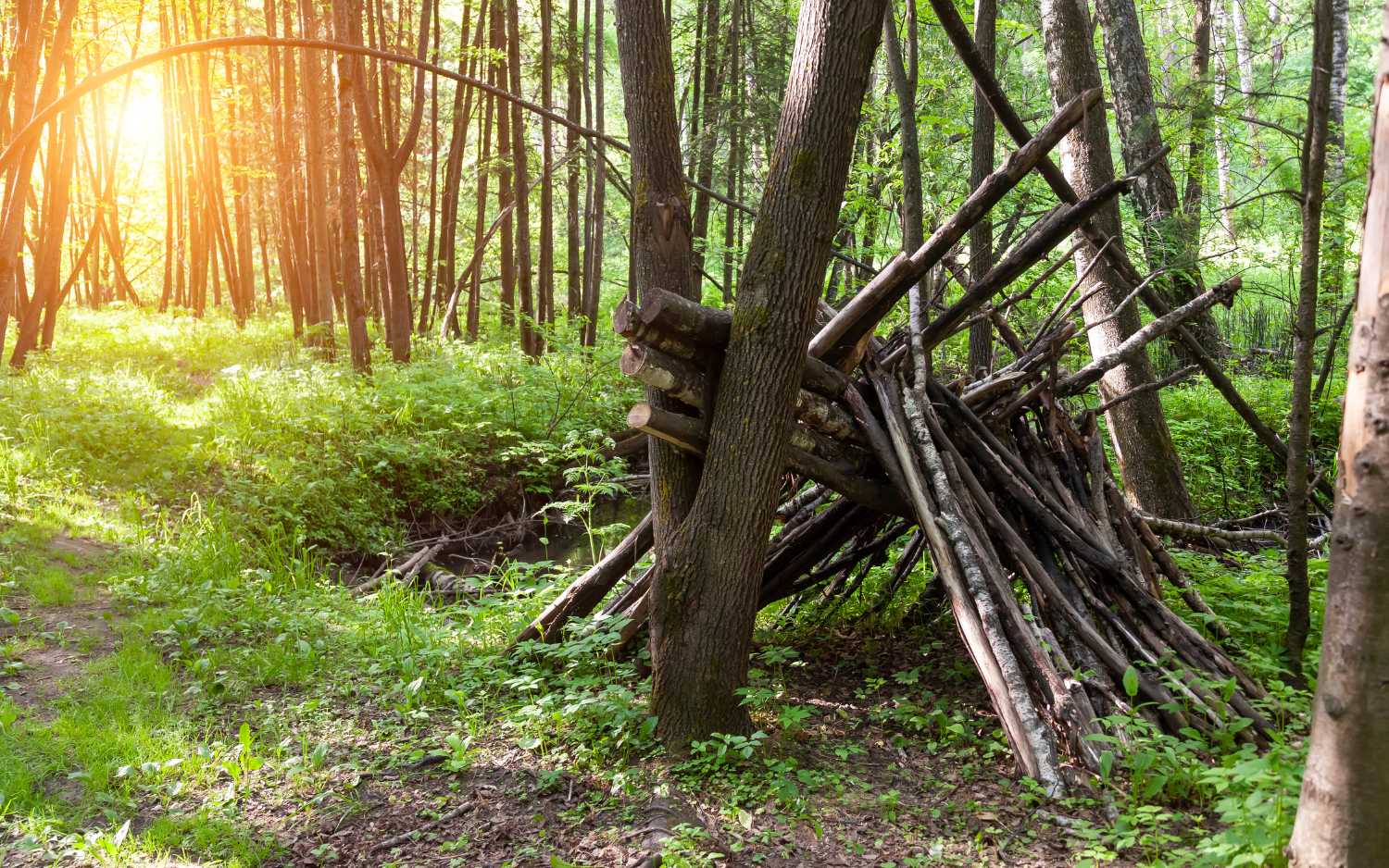Building Shelter from Natural Materials