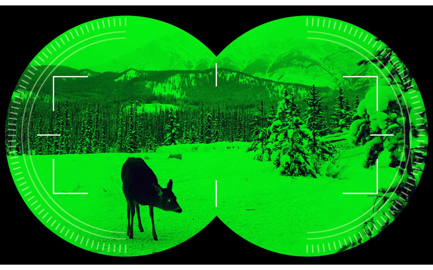 Enhancing Night Vision