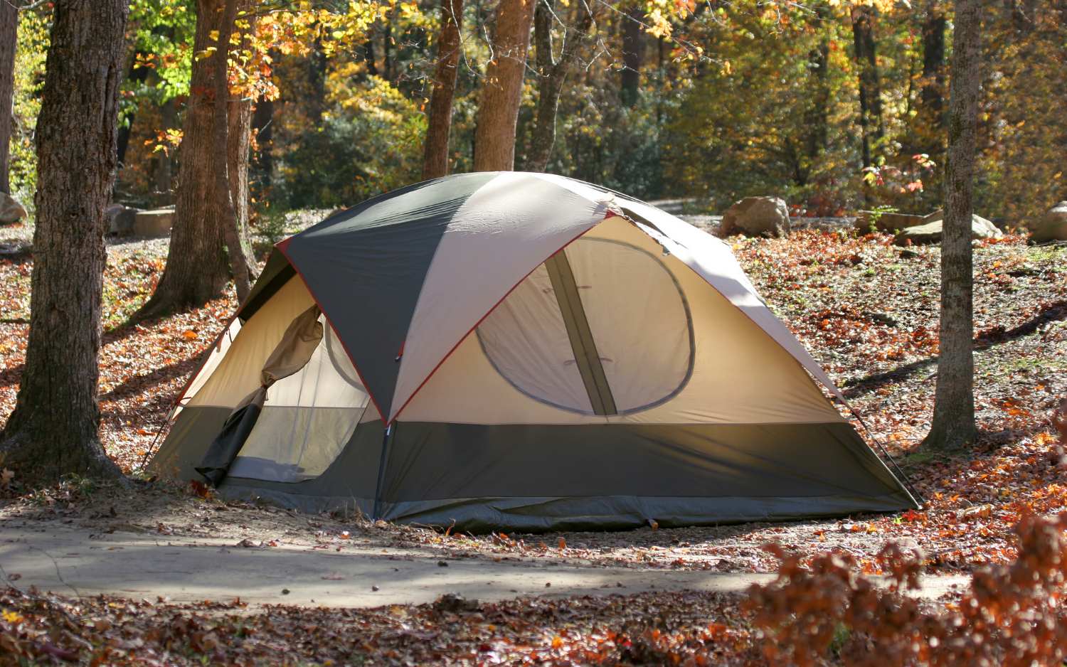 Shelter and Comfort Tools