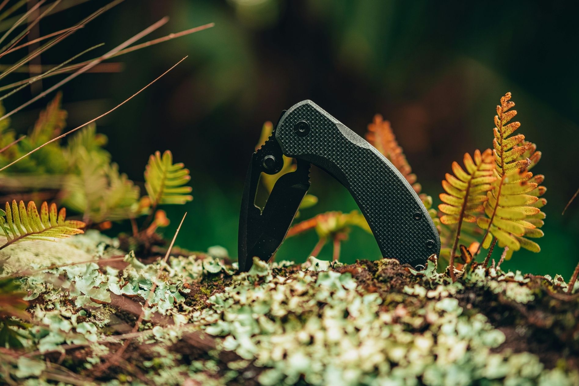 Folding Knives
