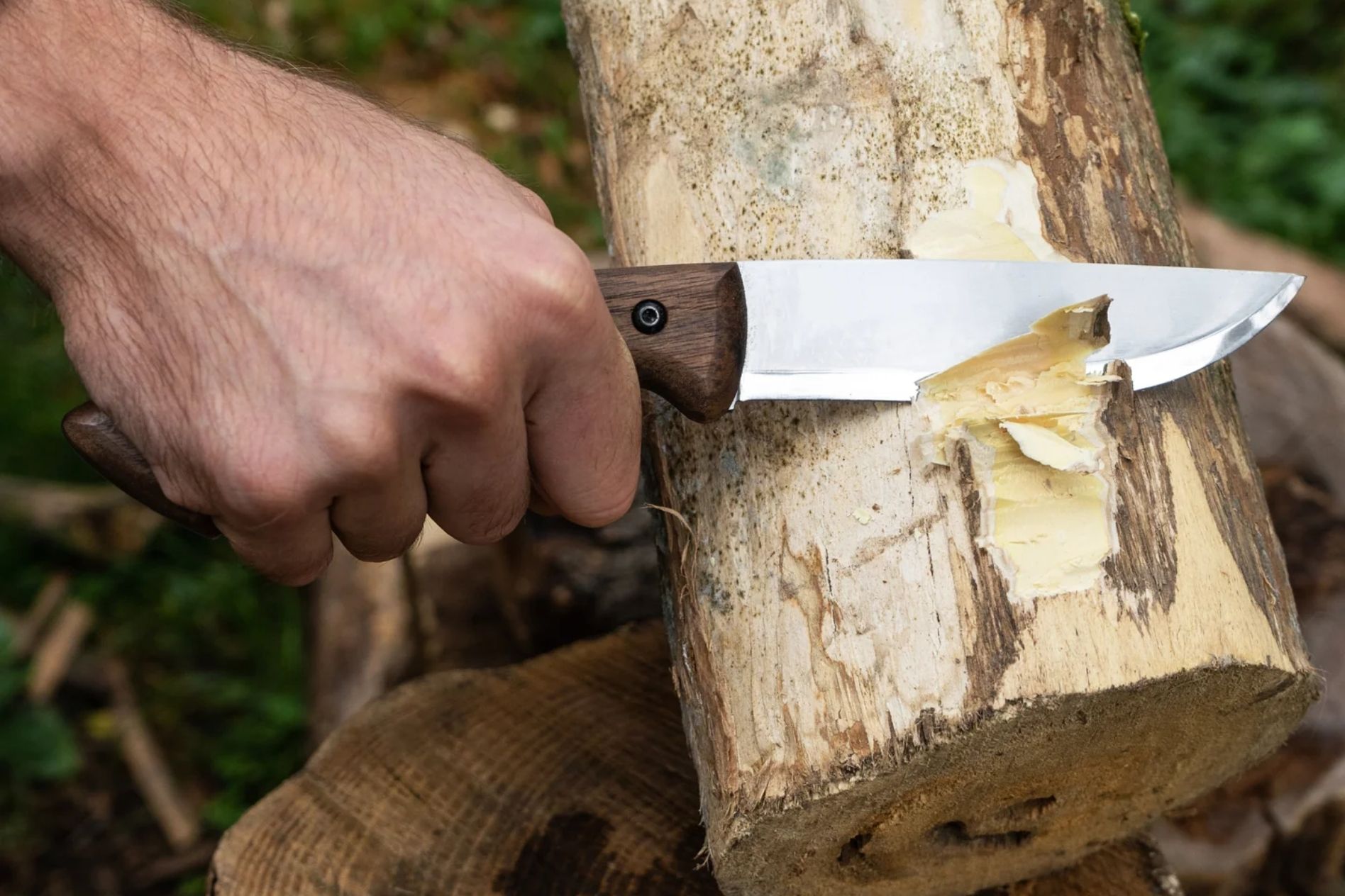 Survival Knives