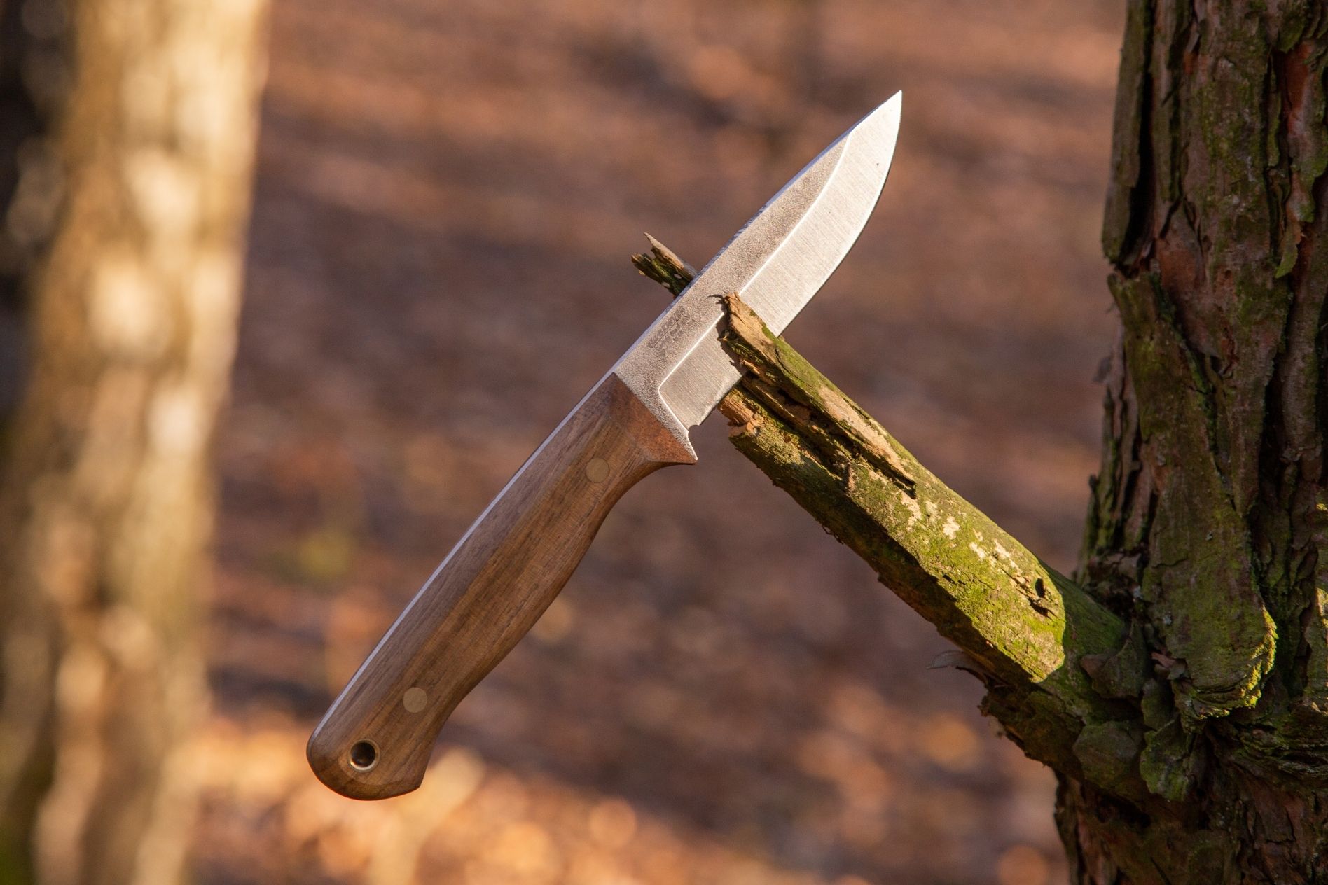 Knives in bushcraft: what is allowed by law