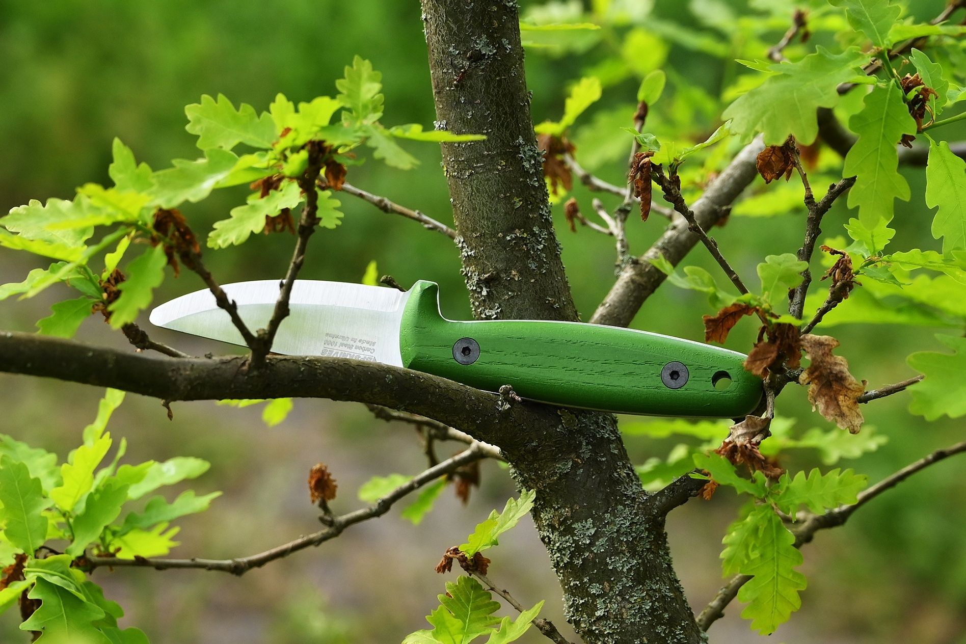 BPS Knives SPRING