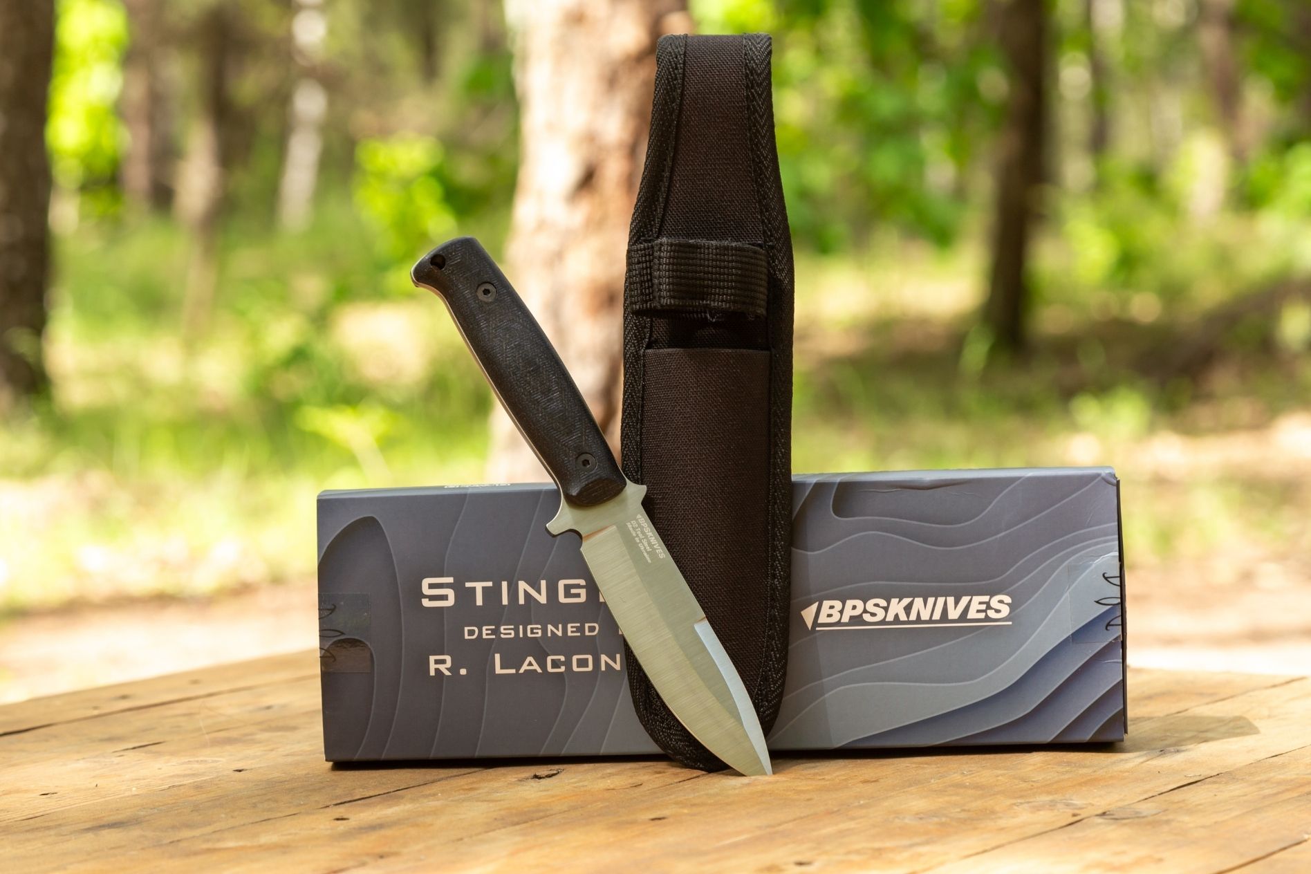 STINGRAY by Ray Laconico