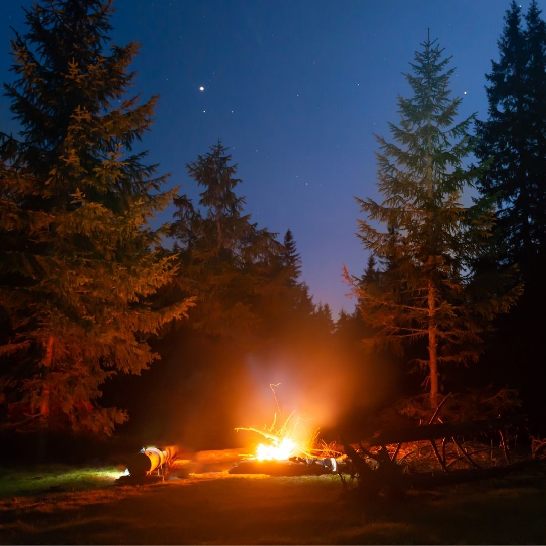 A Night With No Equipment: What Can You Make From Scratch in the Forest?