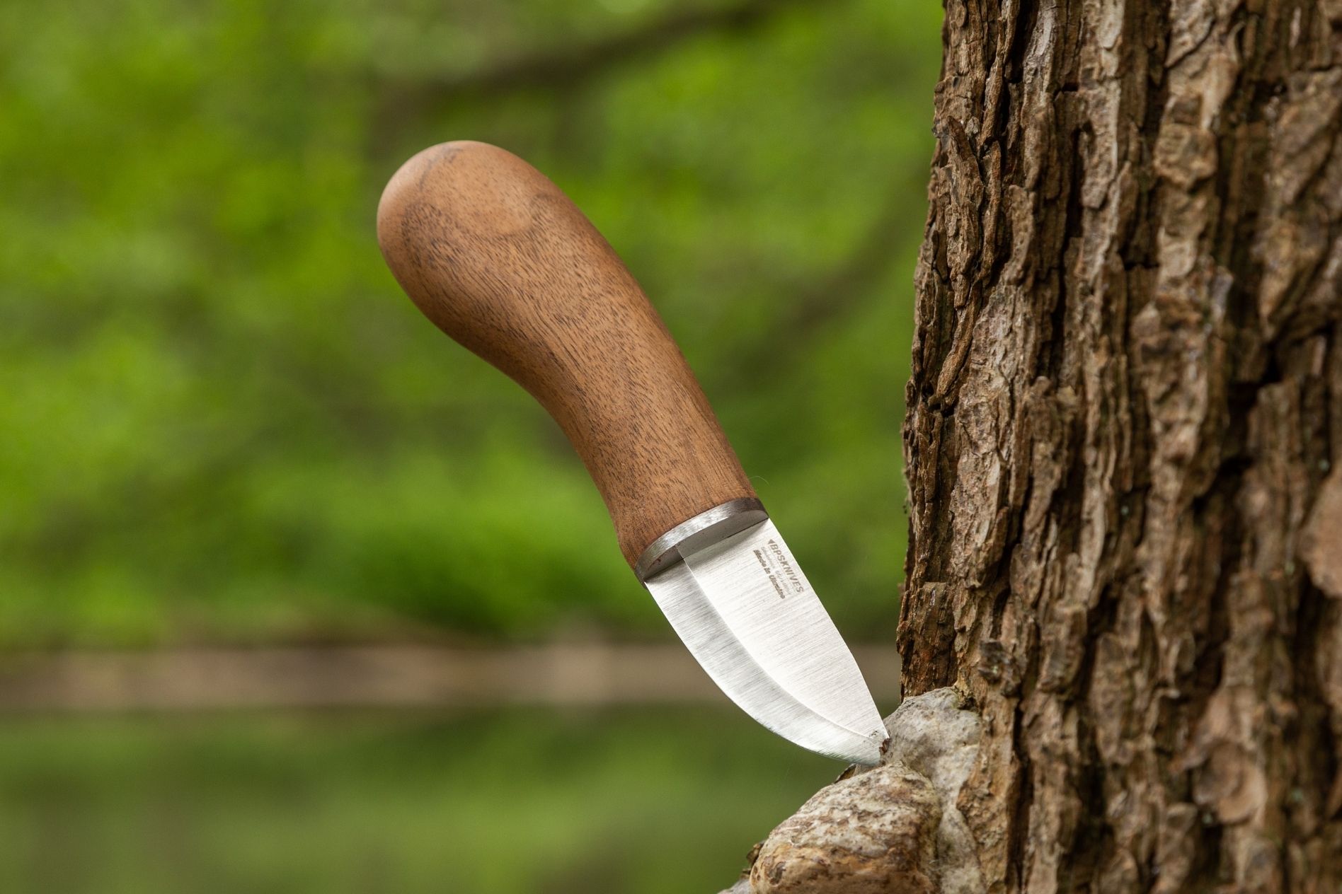 MK1 SSH Mushroom knife