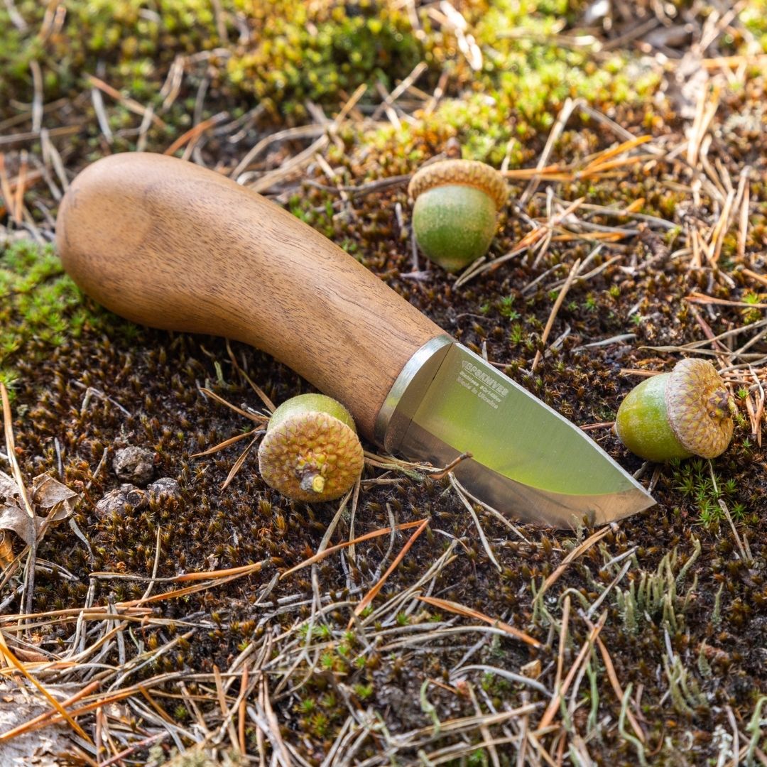 MK1 SSH mushroom picker tools