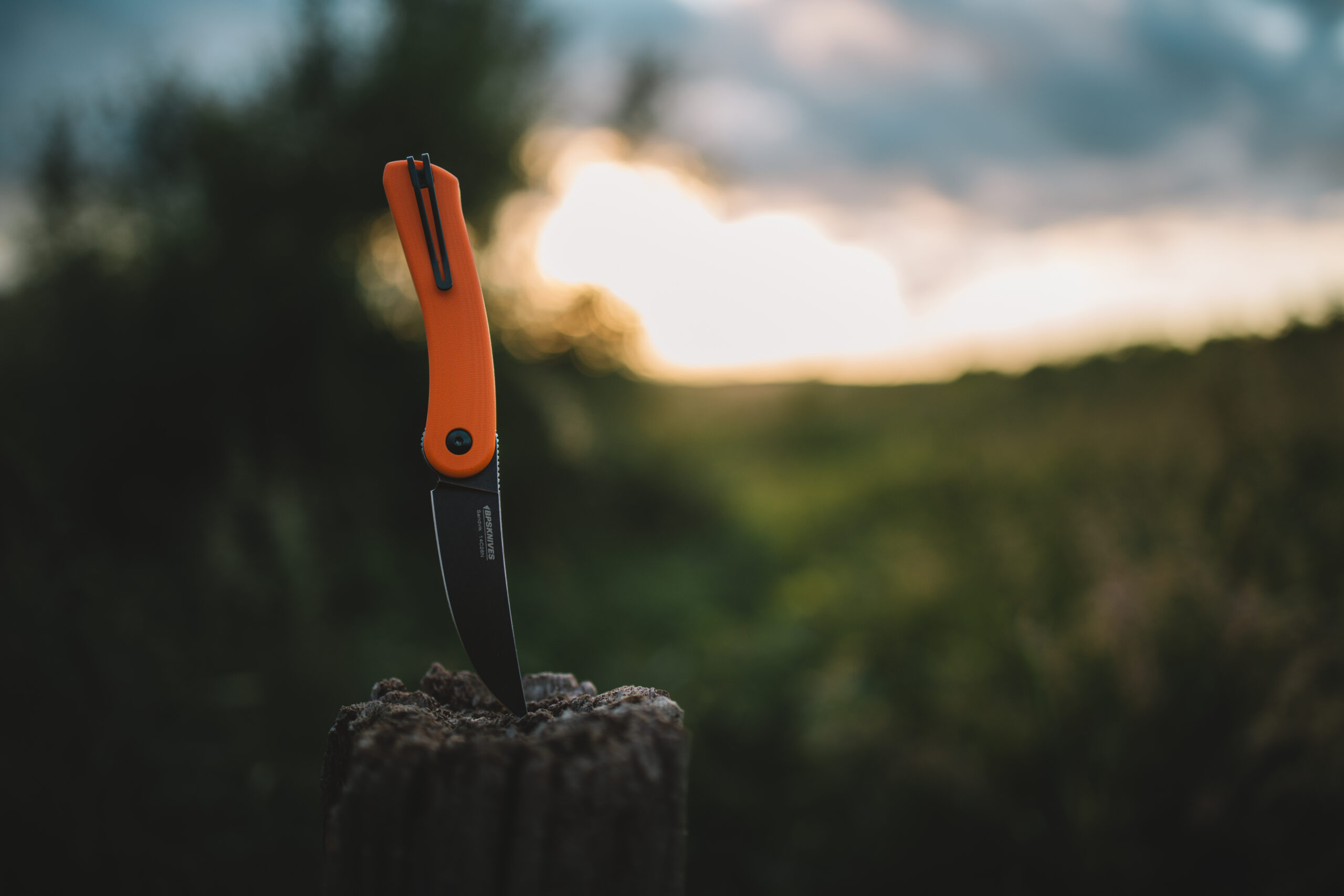 Fiolding Knife